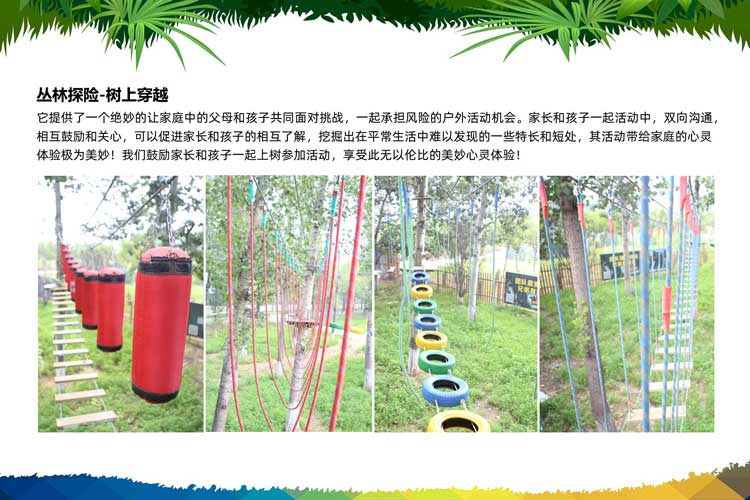 热门团建：树上穿越（树上拓展训练）