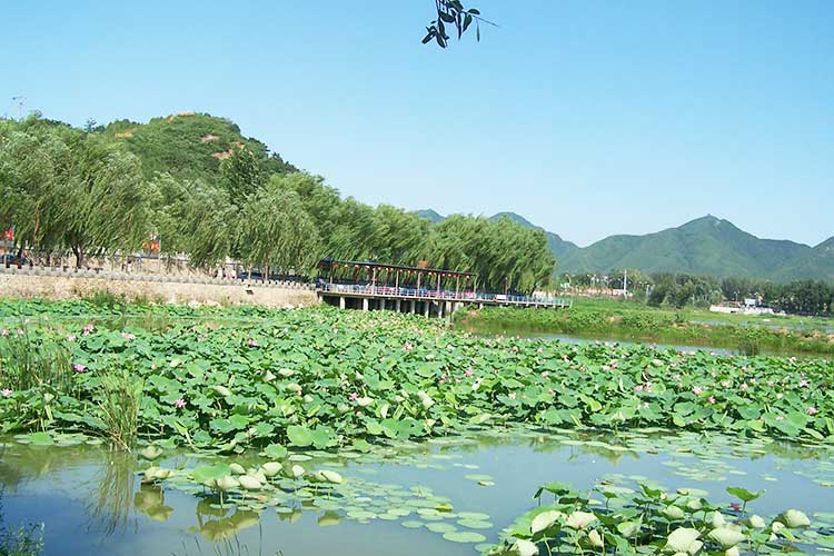 怀柔拓展训练基地：红螺湖鸟岛