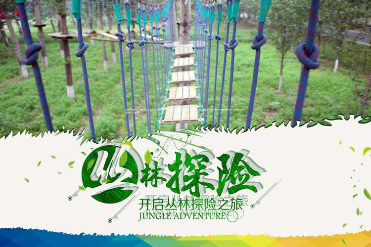 热门团建：树上穿越（树上拓展训练）