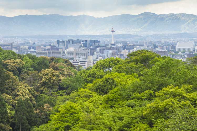 香山最美红叶徒步团建路线