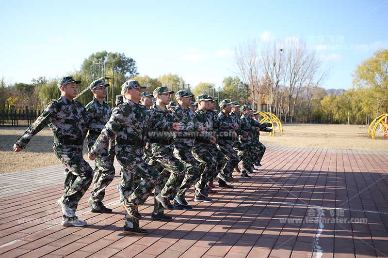 军训基础训练 军训基础训练